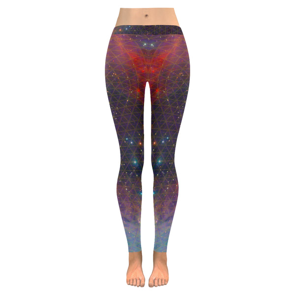 Netting of Existence Multi Dimensional Low Rise Leggings (Model L05)